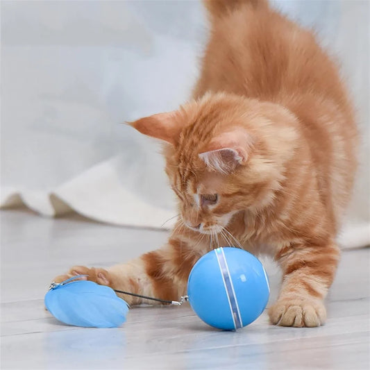 Spinning Cat Toy With LED Light
